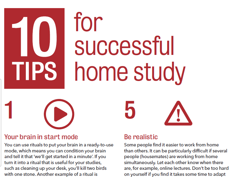 10 tIPS FOPR SUCCESSFU FOR HOMNE STUDY